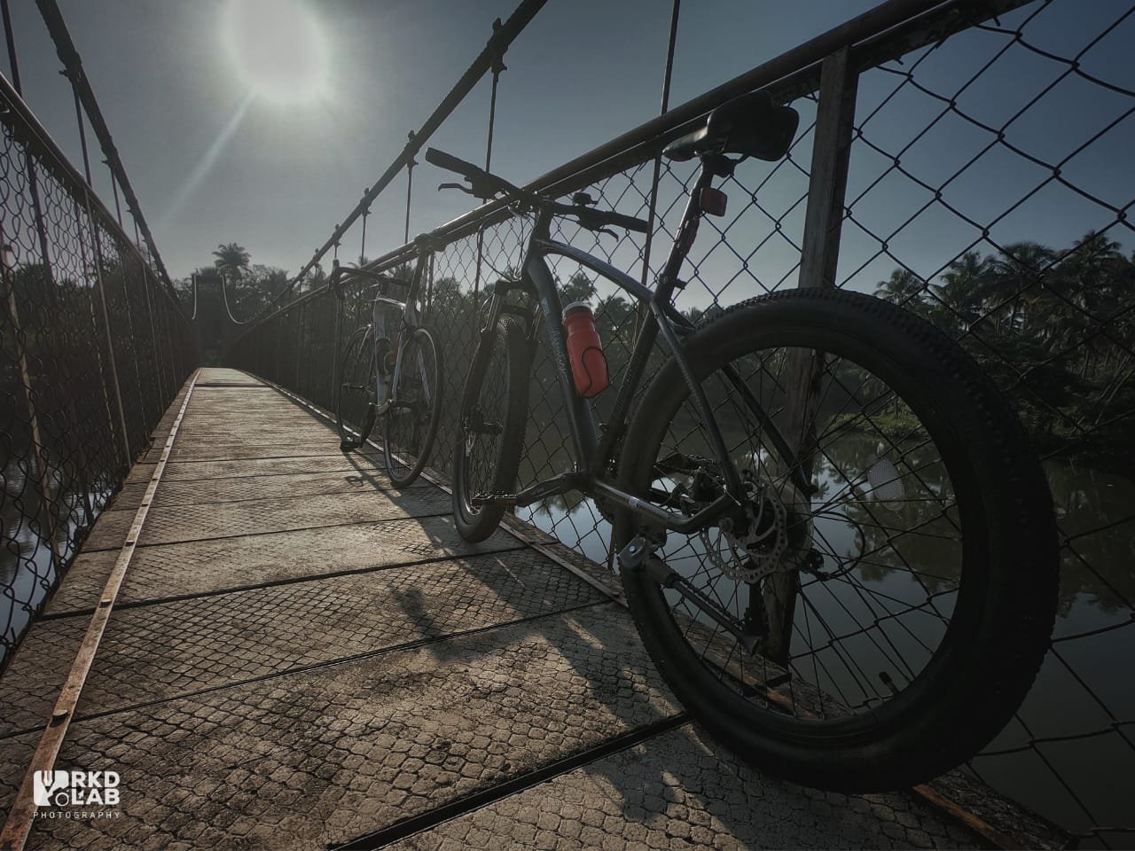POLPO Fat Bike